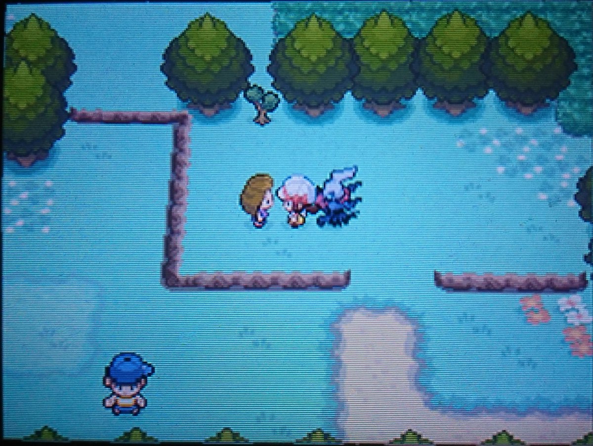 ふ さん 初 夢リボンコンプへの道 Hgss編 3 どっきリボン 曜日7兄弟のヒコに付けてもらえるぞ 二十九番道路火曜日