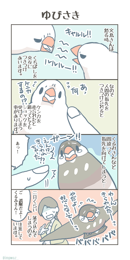 文鳥さんのフルカラー漫画やグッズを描いています。 
#鳥が好きな創作者フォロー祭り 