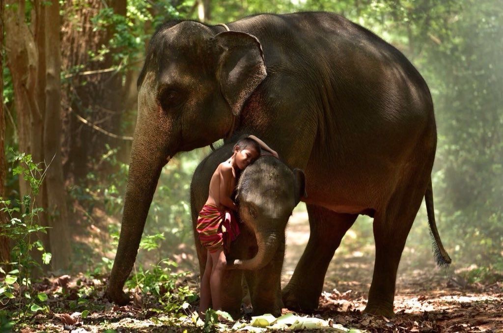 Treat every living being, including yourself with kindness,
And the world will immediately be a better place. 

Timber Hawkeye