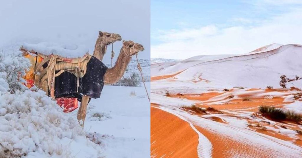CurlyTalesIndia's tweet photo. Sahara Desert Is Covered In Glistening
https://t.co/HG4iDakFuk
#SnowInDesert #SnowInSaharaDesert #SaharaDesertSnow #ExtremeWeather https://t.co/hTV9R7xZPK