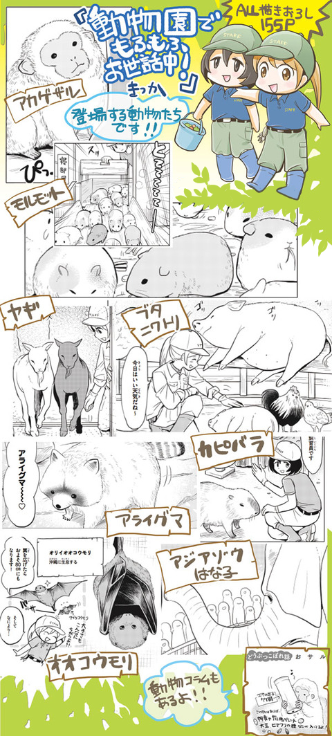 『動物園で もふもふお世話中!』エッセイ漫画を描くにあたって井の頭自然文化園を取材させていただいたことがあります。モルモットも登場?✨
KADOKAWAさんのサイトで
5話「もふもふモルモット天国」まで公開されていますのでぜひ読んでみてくださいね✨
https://t.co/fp9fSGV9iI 