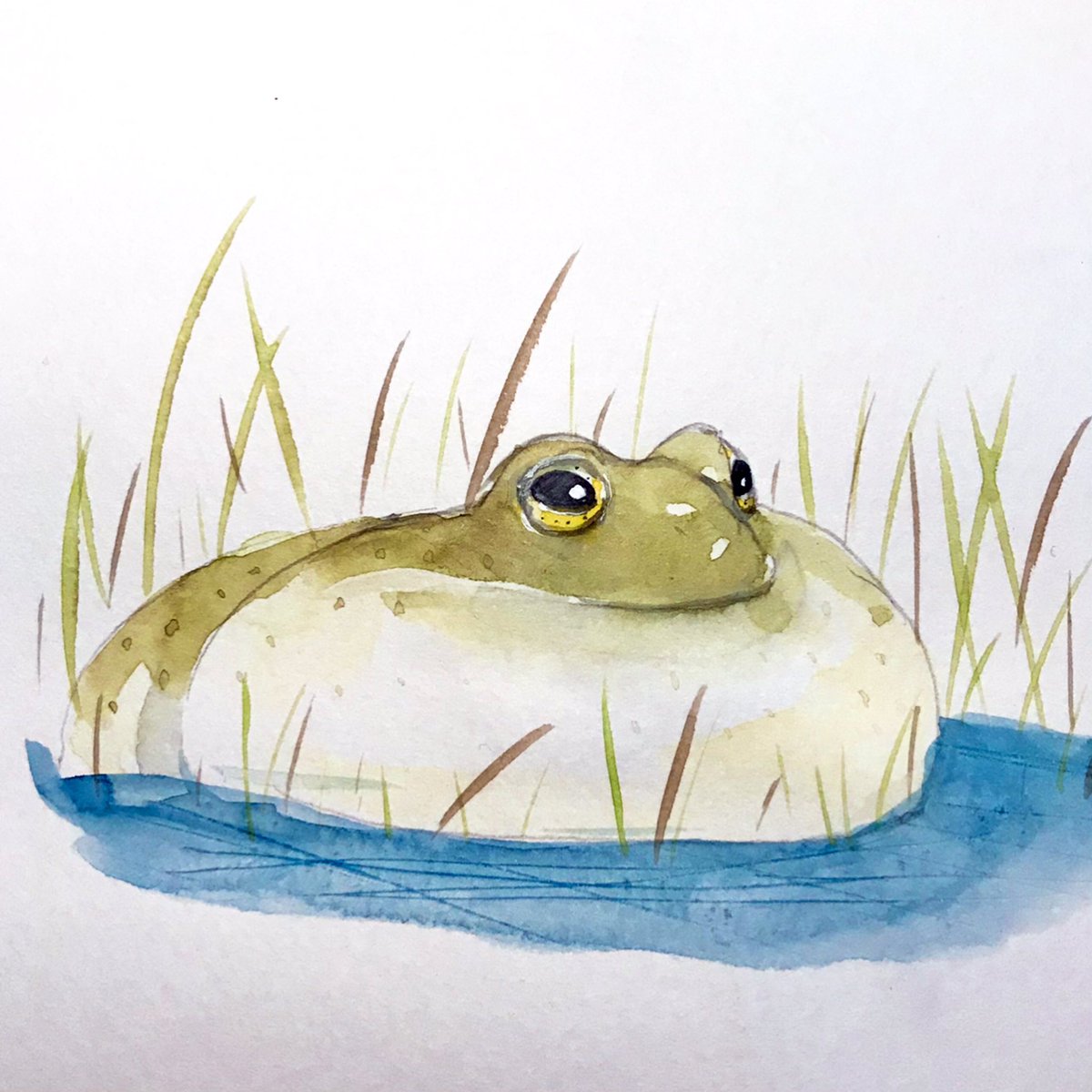 Manymanyhorses ケロケロ 水彩画 透明水彩 Watercolor Sketch Sketchbook イラスト スケッチ Frog カエル アマガエル フクラガエル Hornedfrog Argentinehornedfrog カエルイラスト ベルツノガエル Doodle Commonrainfrog アメ Manymanyhorses ケロケロ 水彩画 透明水彩 Watercolor Sketch Sketchbook イラスト スケッチ Frog カエル アマガエル フクラガエル Hornedfrog Argentinehornedfrog カエルイラスト ベルツノガエル Doodle Commonrainfrog アメ