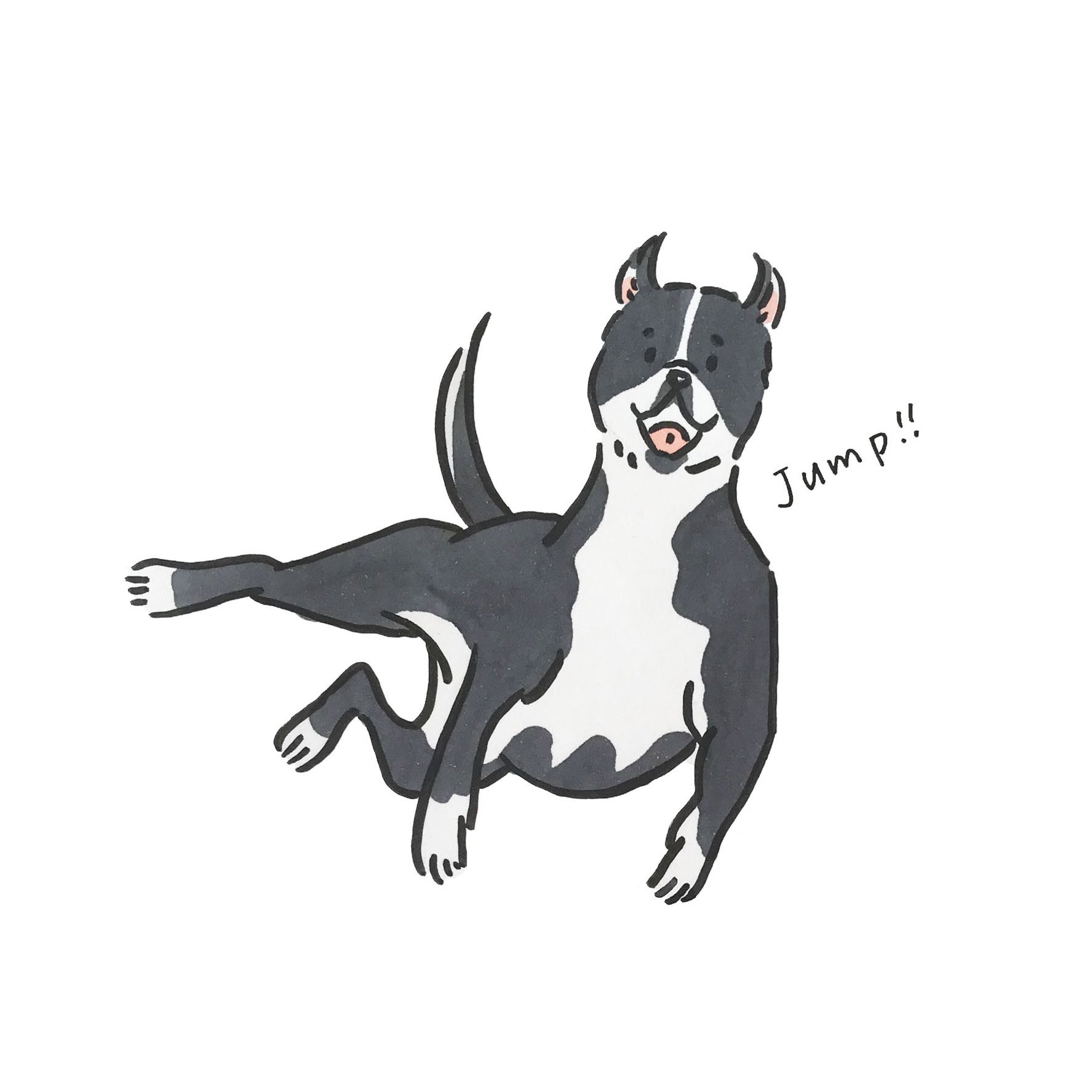 Omami イラストレーター ご機嫌さんでジャンプ ジャンプ犬 犬のイラスト イラストレーター T Co 8yxhyghzdl Twitter