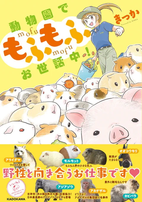 モルカーかわいいな。
動物園のエッセイ漫画を描くにあたってモルモットを取材したことがありますが楽しかったです?
KADOKAWAさんのサイトで
5話「もふもふモルモット天国」
まで公開されていますのでぜひ読んでくださいね✨
https://t.co/QTmfPT0bcQ 