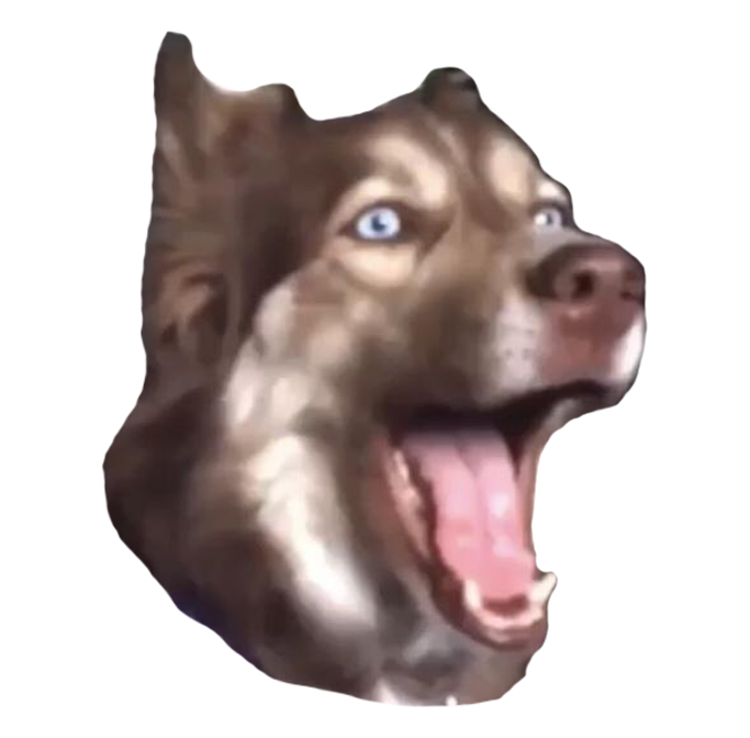 McNasty's tweet photo. doggers > poggers https://t.co/fN44swbkax