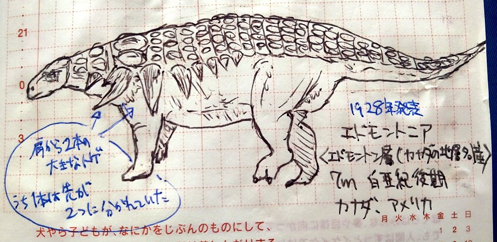 恐竜チャレンジ 238日目 #エドモントニア(エドモントン層産) カナダの