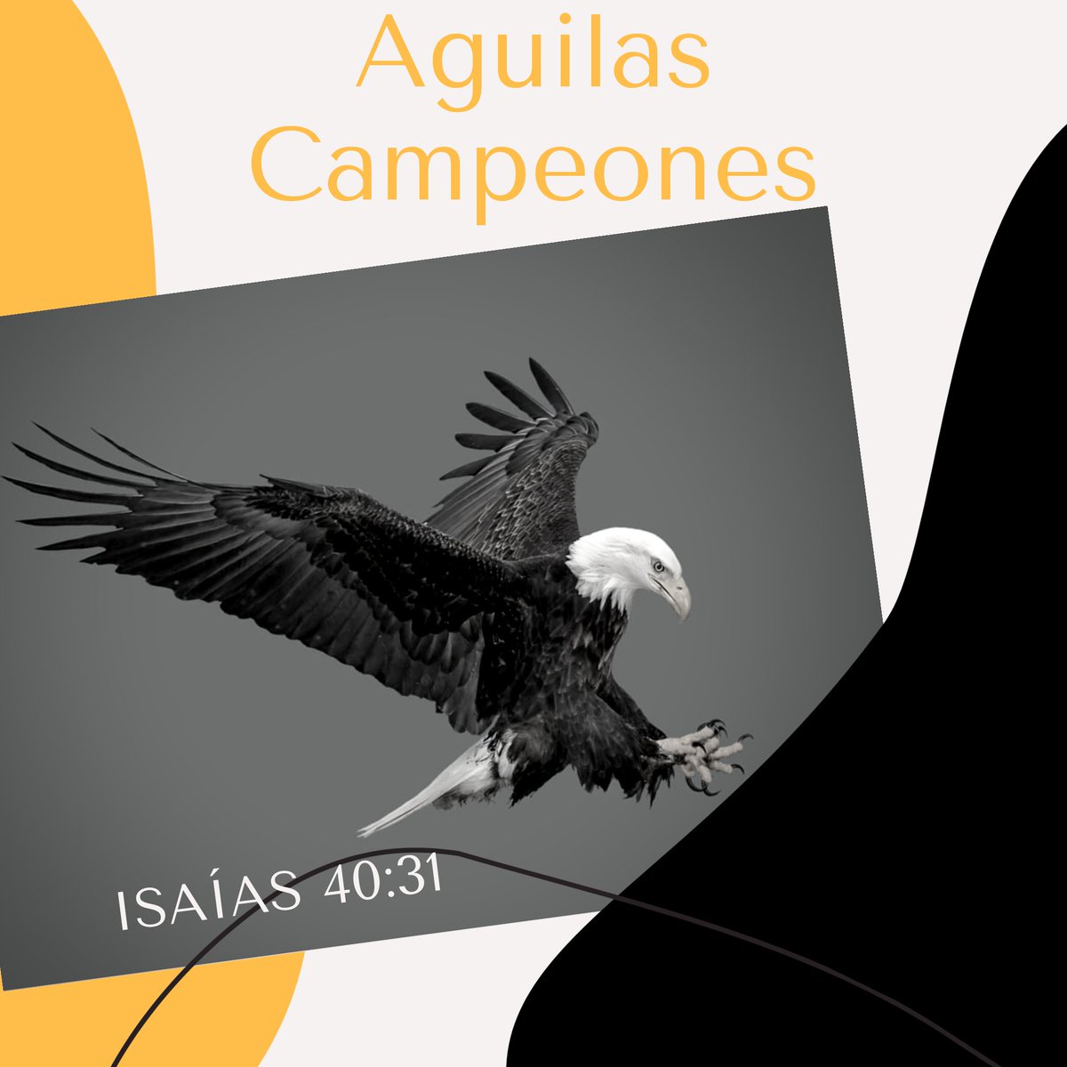 ZimbronRogelio's tweet photo. "Pero los que esperan a Jehová tendrán nuevas fuerzas; levantarán alas como las #ÁGUILAS; correrán, y no se cansarán; caminarán, y no se fatigarán"
(Isaías 40:31) https://t.co/cZhmrDkB1s