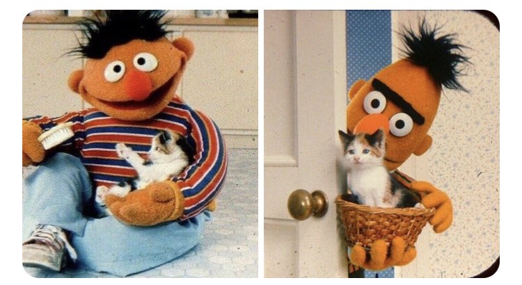 troy and abed as bert and ernie: an incredibly important thread <3