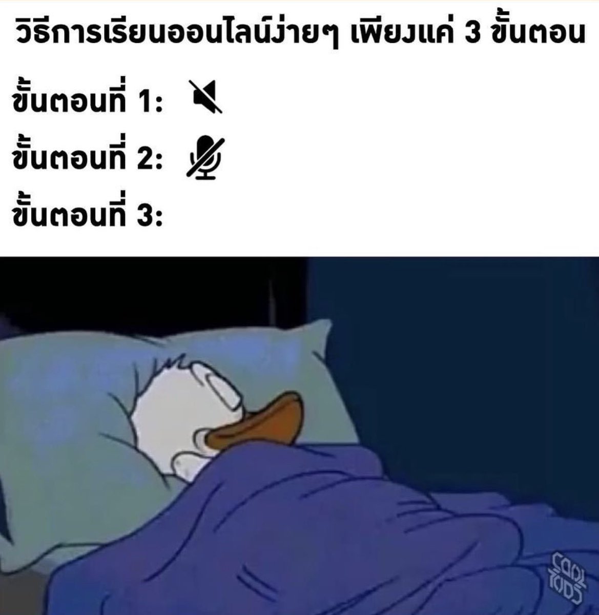 SABENZZ's tweet photo. วิธีเรียนออนไลน์ง่ายๆได้ที่บ้าน 555555555555555555555555555555555555555555555555555

#ฮึบแล้วไปสอบ https://t.co/f3PnR5inlM