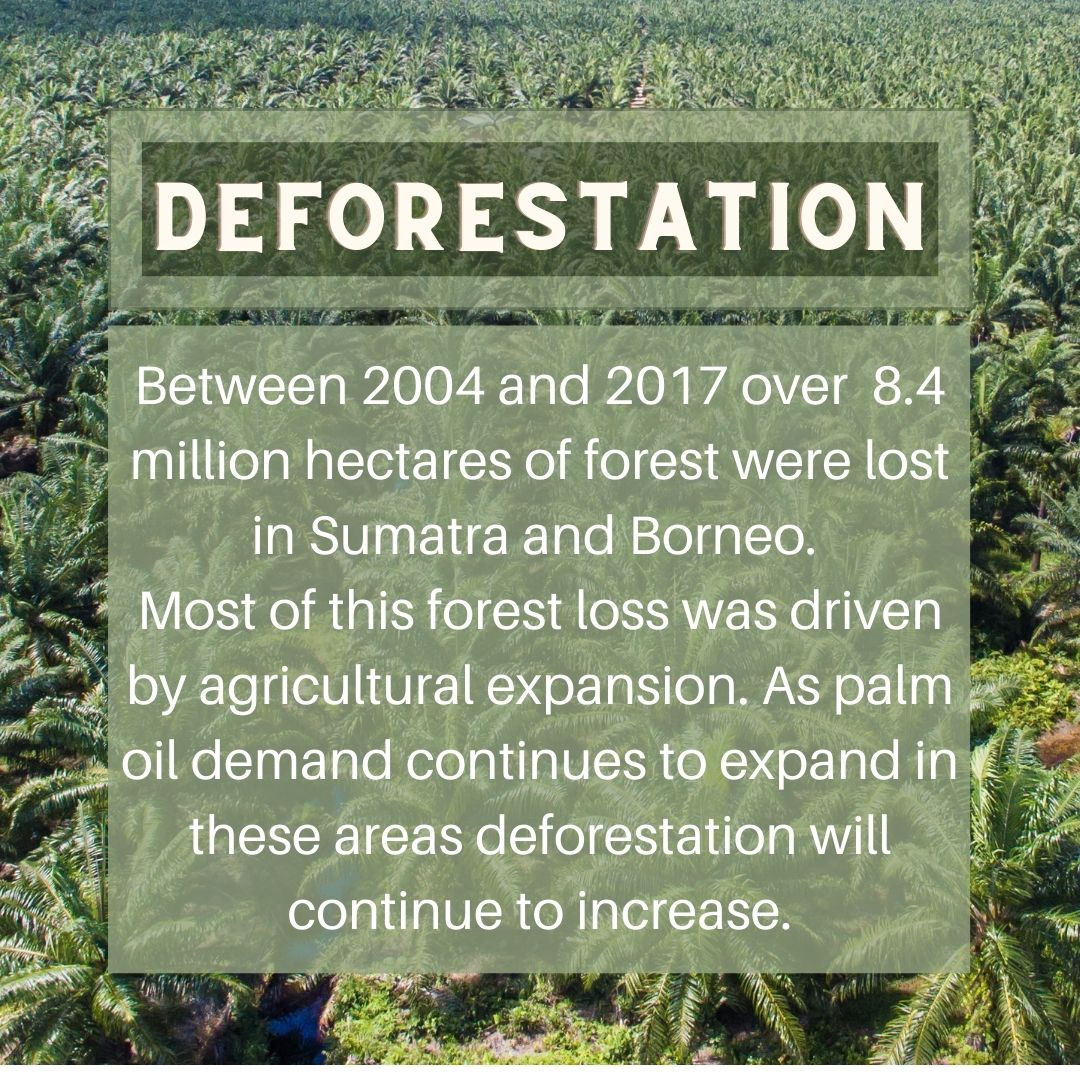 A recent report from <a href="/WWF/">WWF</a> has found that between 2004 and 2017 over 43 million hectares, an area roughly the size of Morocco, was lost. Agriculture is the leading driver of #deforestation globally, and #palmoil agriculture is the biggest driver in Sumatra and Borneo. 🌴