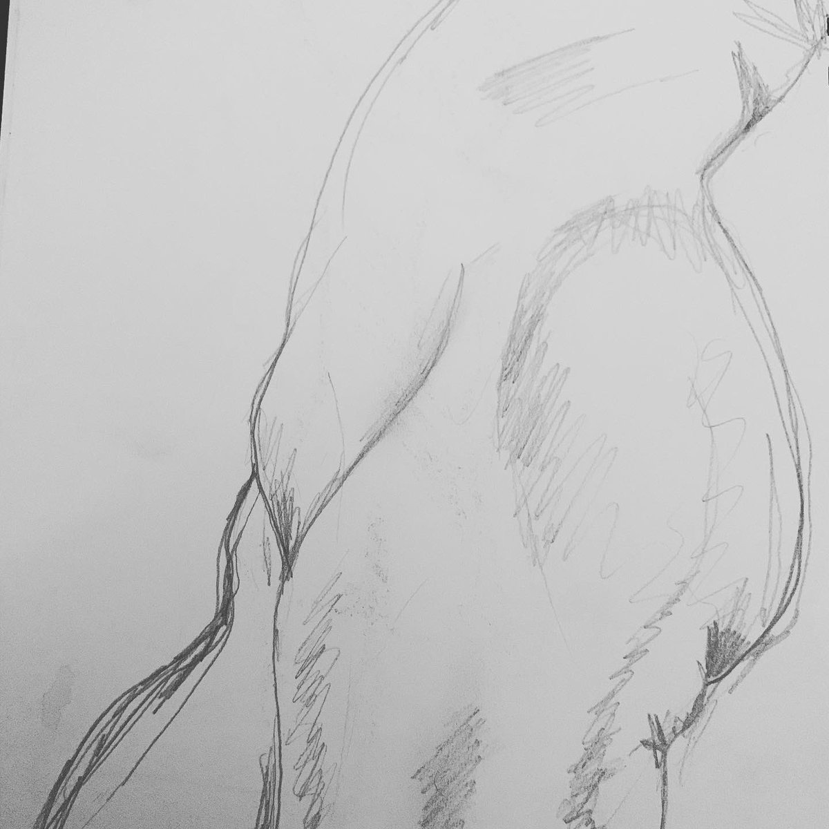siriusrex's tweet photo. Some old #lifedrawing sketches I uncovered recently :) https://t.co/d0mmxKhaPh