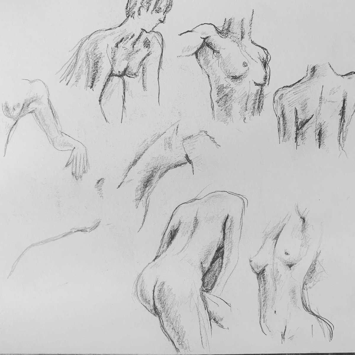 siriusrex's tweet photo. Some old #lifedrawing sketches I uncovered recently :) https://t.co/d0mmxKhaPh