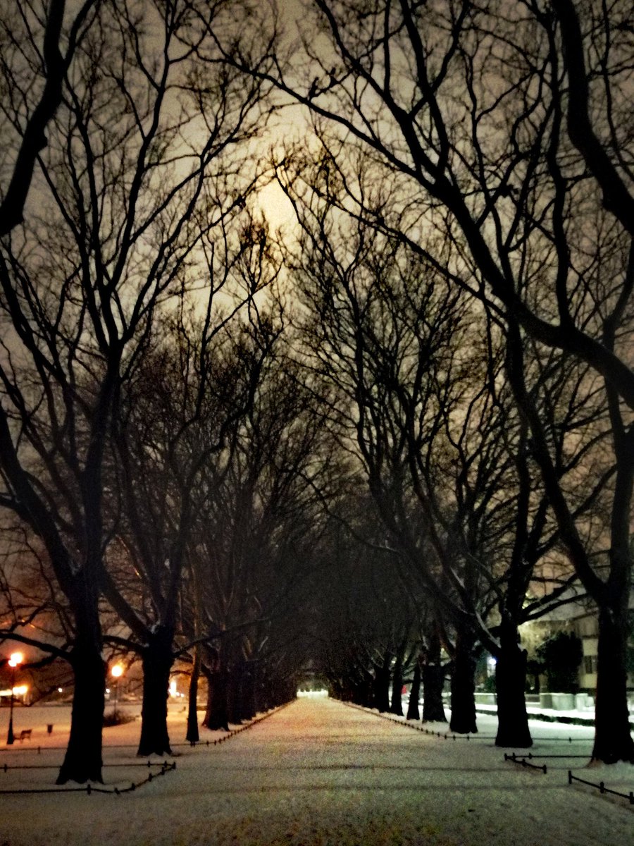 Mario Mario tweet media