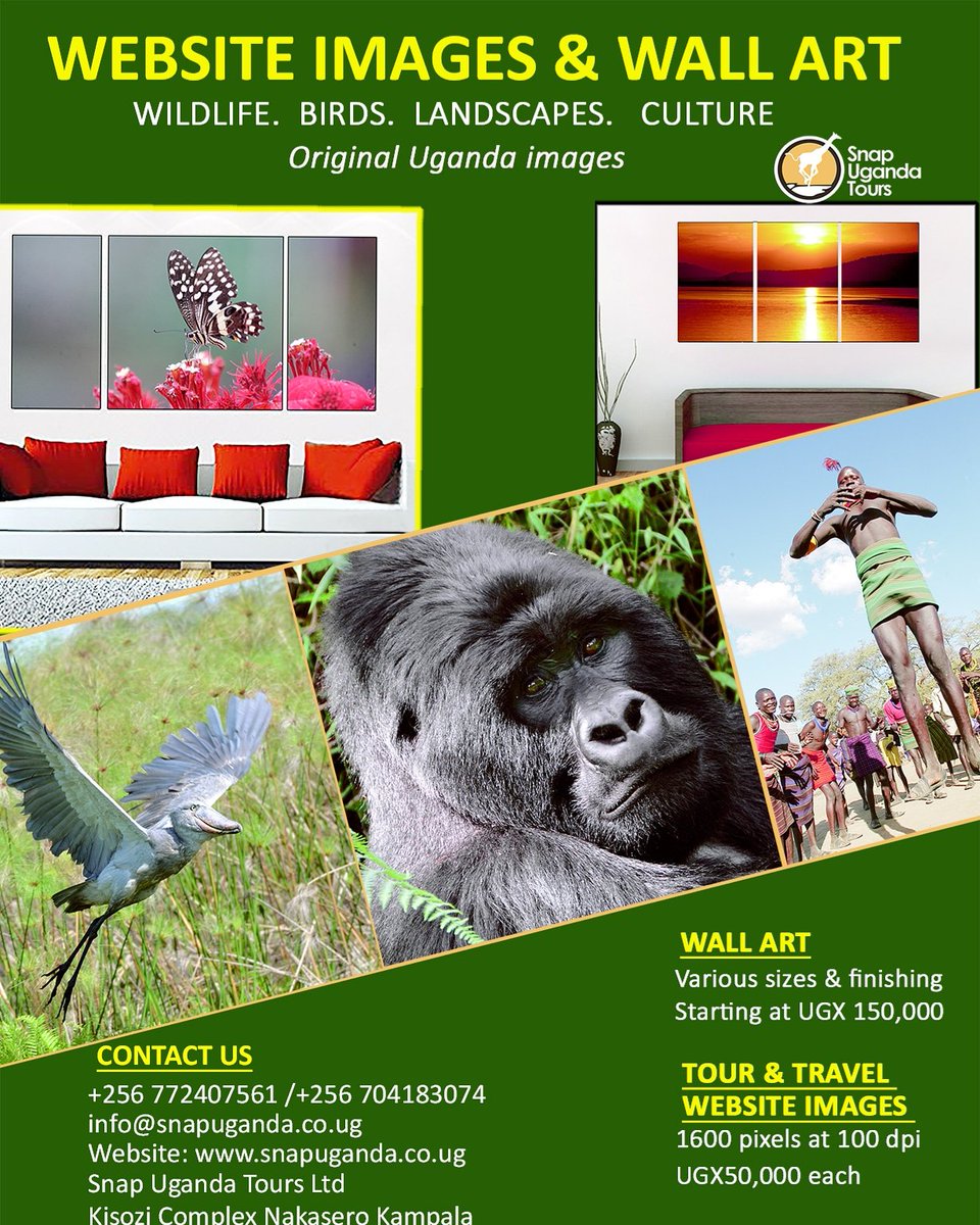 SnapUgandaTours's tweet photo. For all your travel website photos and Wall hangings, contact us
+256772407561 https://t.co/pk4U4Vaa0M
