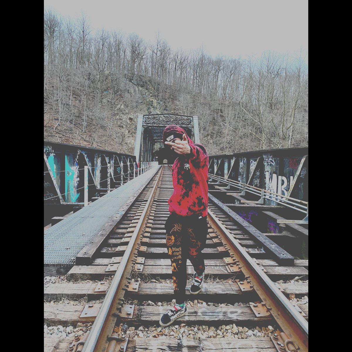 incendiary___'s tweet image. Into the woods