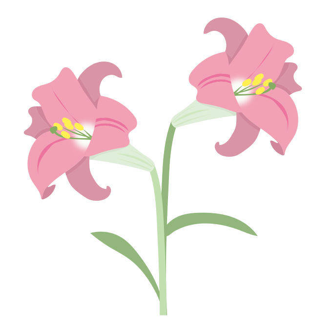 画像をダウンロード イラスト ゆり 無料イラスト画像 画像をダウンロード イラスト ゆり 無料イラスト画像