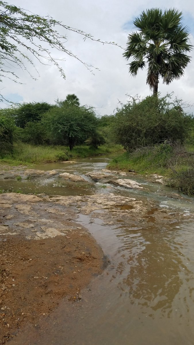 This is kollampaarai கொள்ளாம் பாறை. LF used up bring his cattle to wash them every maatu pongal when he was a child.