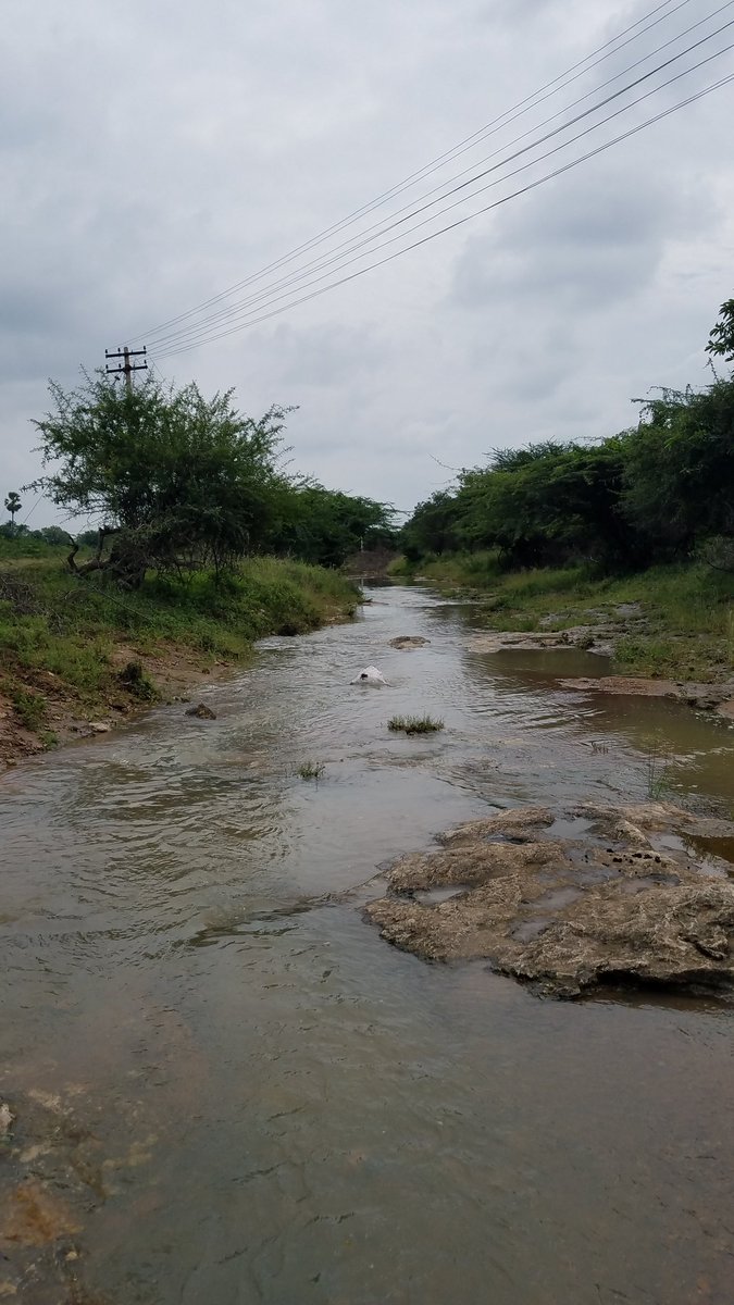 This is kollampaarai கொள்ளாம் பாறை. LF used up bring his cattle to wash them every maatu pongal when he was a child.