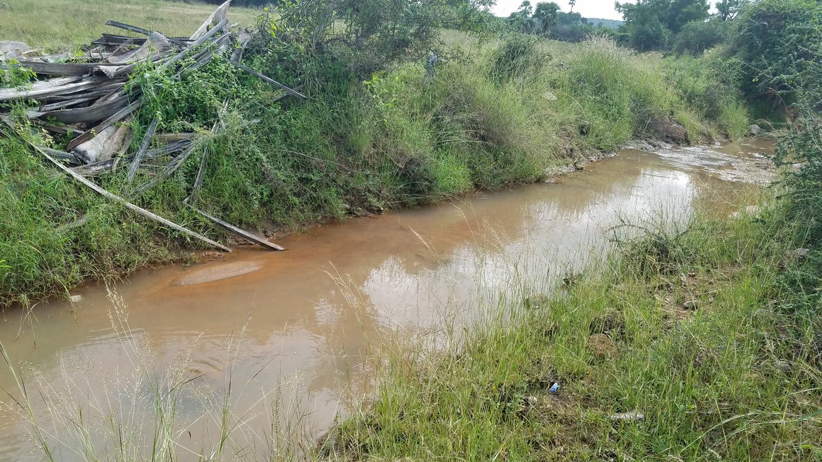 This is ellaiyadutha odai எல்லையை அடுத்த ஒடை. It has been crowded for few days as this is closest to an oorani and is lush with water.