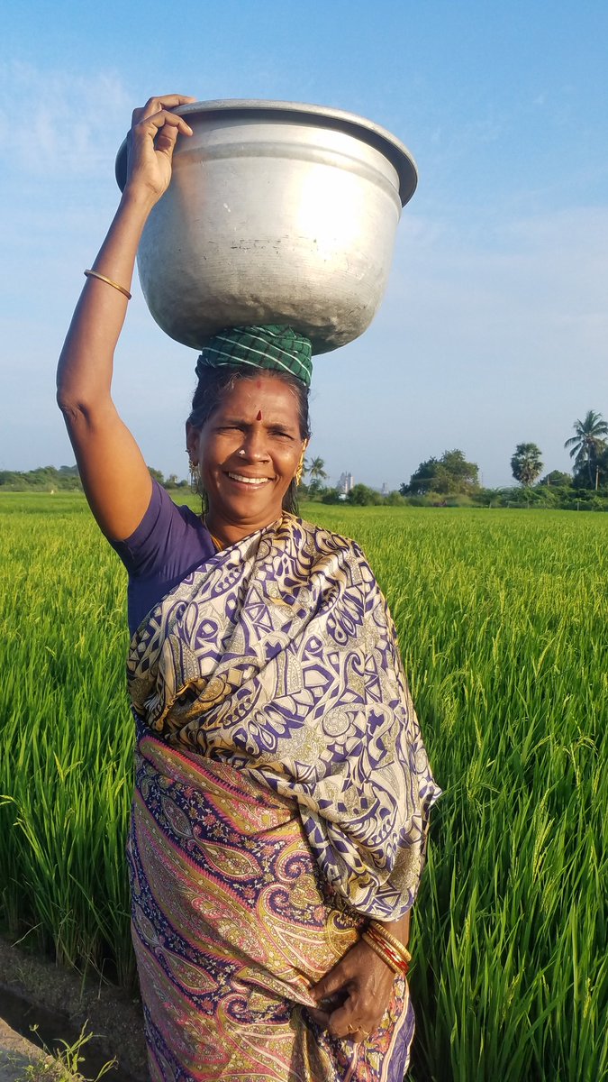 But our ஊரணி, ஒடை, கிணறு and குளம் are all brimming with water too thanks to the rains. And we have been going to one of these to wash and bath.