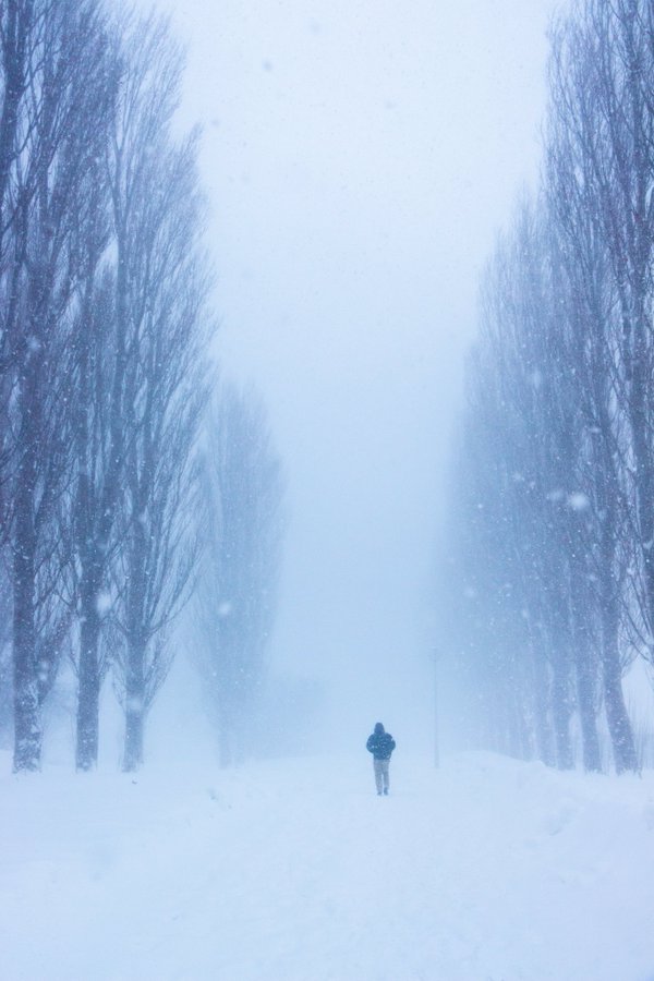 北海道大生の 過酷さ が話題 キャンパス内で遭難しそう ライブドアニュース