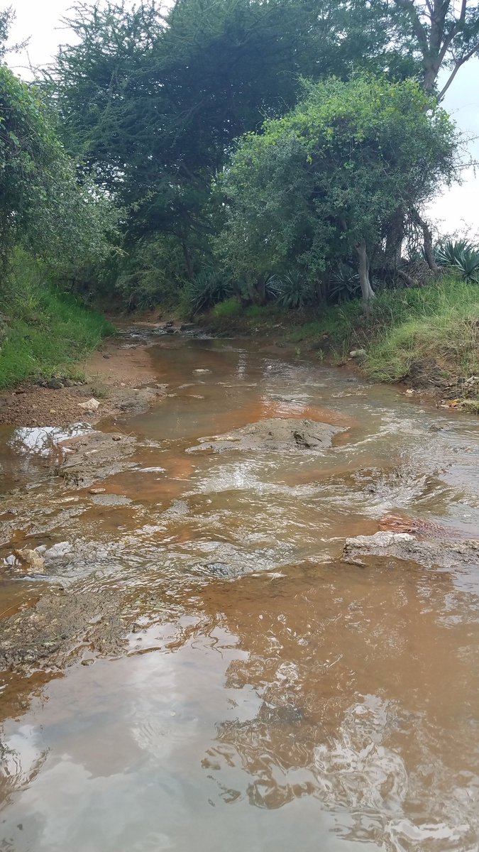 I sat and worked from here 2 days back. It was so peaceful.I am wearing a skirt from my 7th std. 