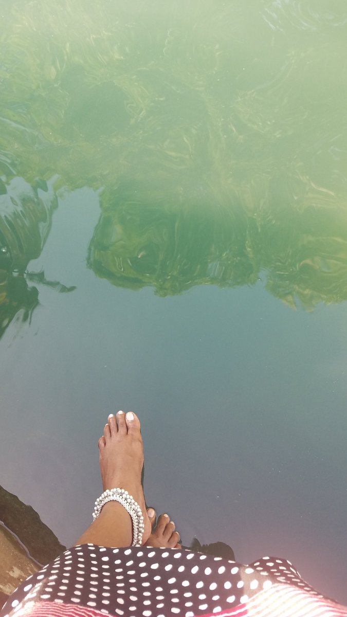 This is Natrasan Vaathiyaar kinaru. One of the many wells that is brimming with water.
