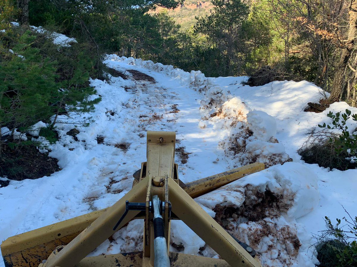 ADF Muntanyes de Prades tweet media