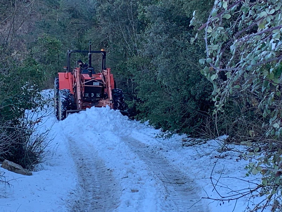 ADF Muntanyes de Prades tweet media