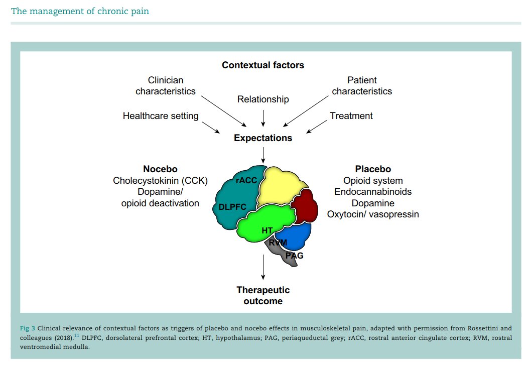 Placebo effect in the management of chronic pain

👀👀👇👇🧠🧠

<a href="/GiacomoRoss86/">Giacomo Rossettini</a> 

pubmed.ncbi.nlm.nih.gov/33456922/