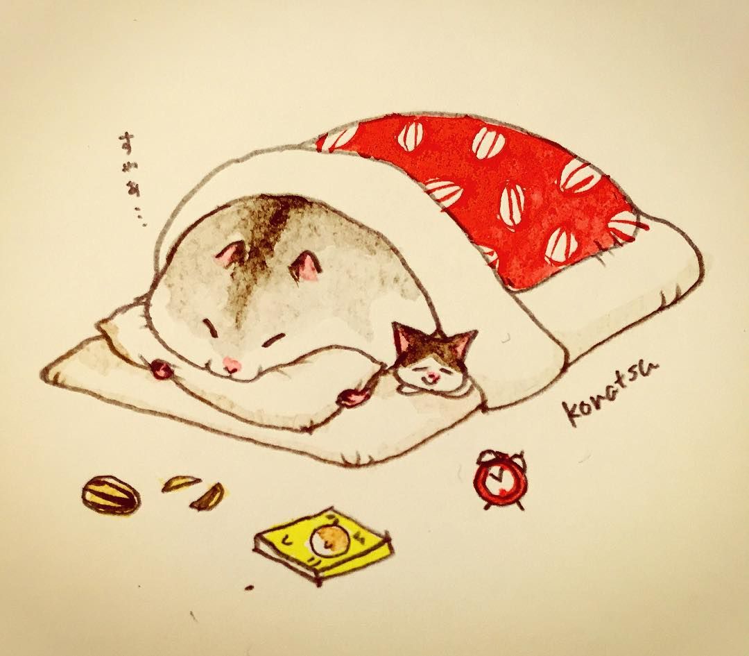 ｺｯｿﾘ 塗りﾁｬﾝ ちゃーぁ とりあえず 連日の夜勤の寝不足 疲労で 今日やっとこさ 地元 神社へ初詣 おみくじ末吉だった お札 御守りゲット 帰りに寄り道 食品等買い出し済んで さすがに ダウン それでも家事等済まし 午後は 昼寝