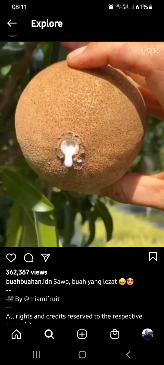 Dokter <a href="/aan__/">.</a> sawo kaya begini cari di mana ya?