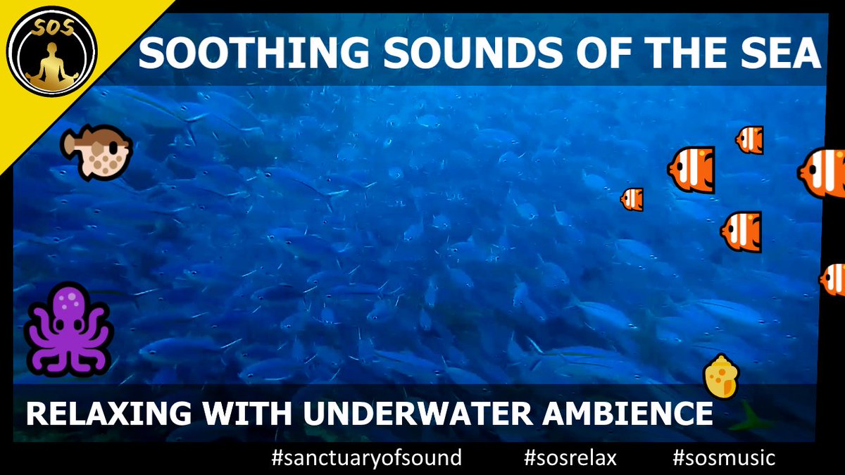 SanctuaryofSoul's tweet photo. Relax with this 30 Minute Meditation of soothing Sounds from the Sea🐟
I hope this Underwater Ambience Video will help your Meditation and make yeel relaxed while you unwind 😌

#sanctuaryofsound #sosmusic #sosrelax 

--> https://t.co/UsWAmyhggV https://t.co/4FUbvdHA1B