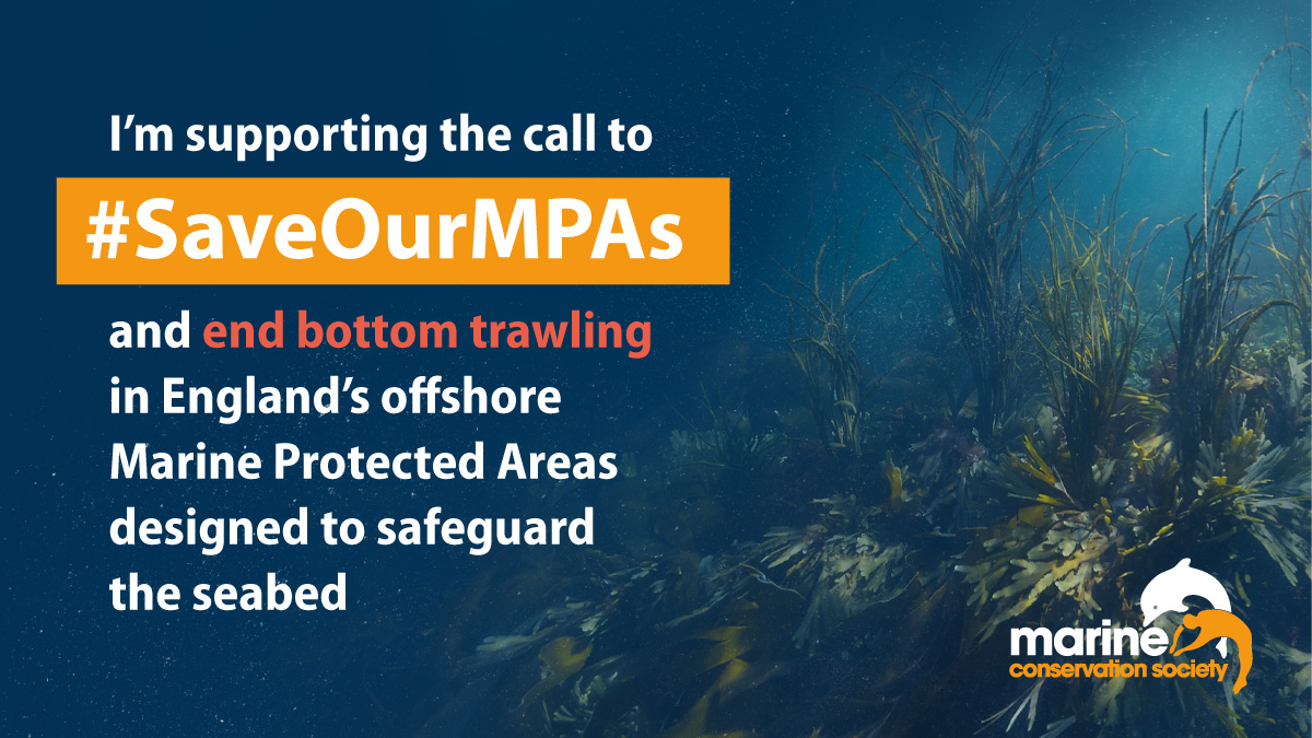 alicee_watson's tweet photo. @mcsuk @JeanLucSol England’s #MarineProtectedAreas aren’t truly protected until bottom trawling the seabed in them is banned.
It’s time to support our seas and #SaveOurMPAs
@ApsanaBegumMP will you be a voice for the ocean? 🌊
@serauk @LabourDefra @LabourLordsUK @LukePollard @Steph_Peacock https://t.co/E3SRBcarqx