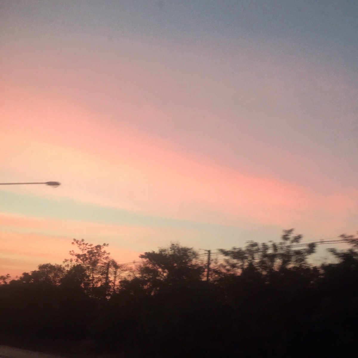 cute day 🤌🏻 ˚ 𓂃 ∗︎︎