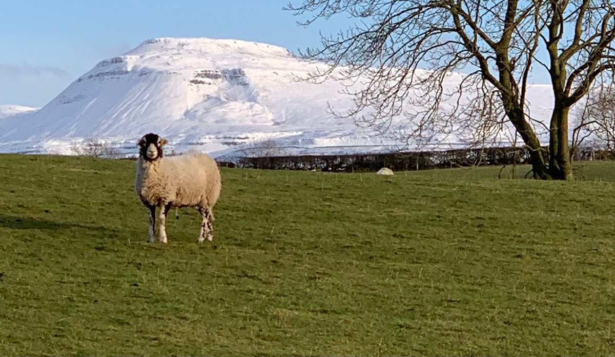what a place to live and work. Olivers Lighting is located near Ingleton in the beautiful Yorkshire Dales