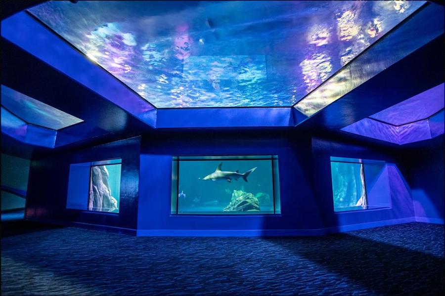 .<a href="/PGAVDestination/">PGAV Destinations</a> celebrates series of project openings in 2020. bit.ly/3qDX1OB