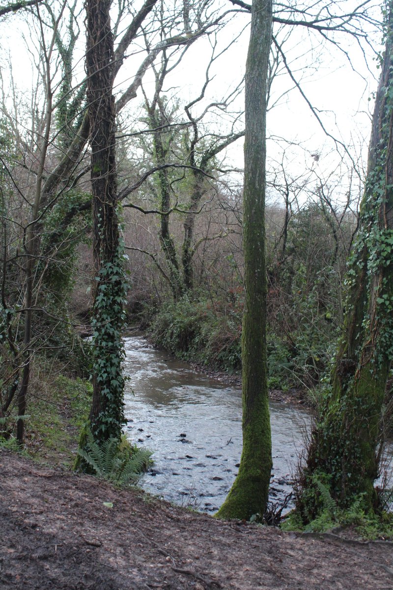 wildeastdevon's tweet photo. 🌿Our #HonitonBottom Community Nature Reserve is a stones throw from the bustling centre of #Honiton

🧑‍🦽 The reserve has a surfaced path and a recently replaced level bridge allowing access for those with limited mobility

More info: https://t.co/DTM7ZTHIZd

#wildeastdevon https://t.co/vD5X5xRJMg
