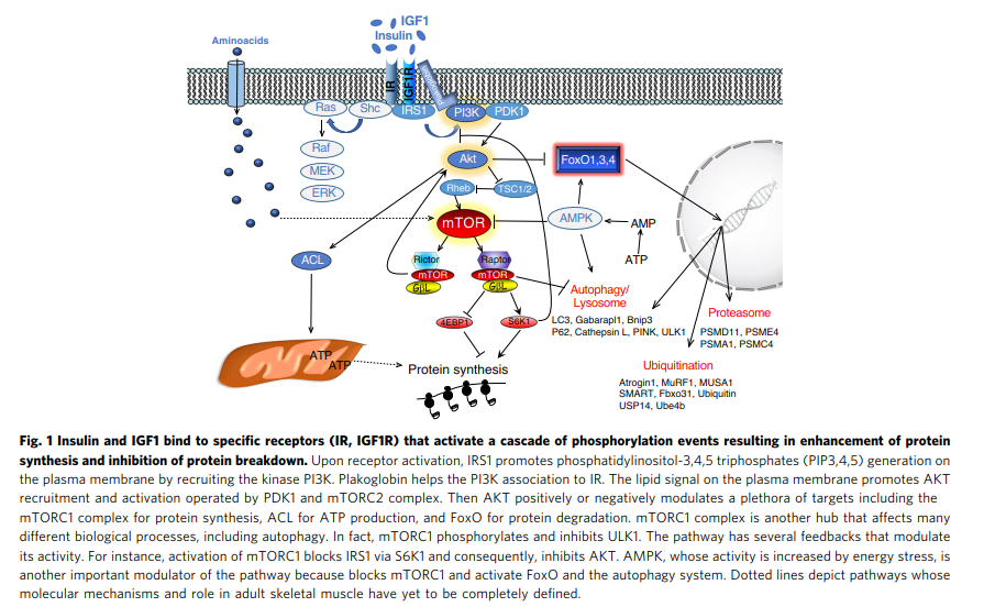 Physio Meets Science tweet media