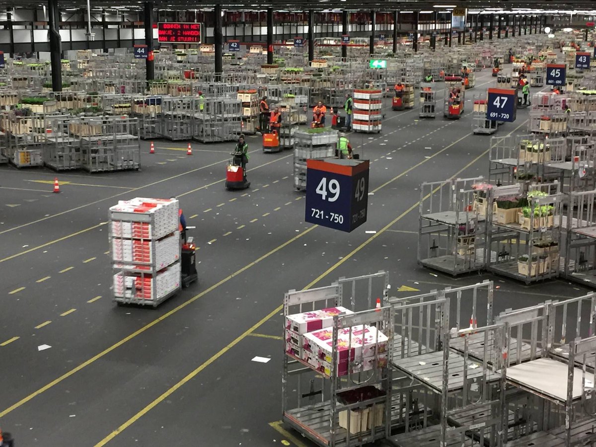 RotomPT's tweet photo. Bom dia,

No maior mercado de flores do mundo, o Aalsmeer Flower Auction, a logística é absolutamente incrível, milhares de roll containers em movimento fornecidos pela empresa do grupo Rotom, a Hoza!

#Rotom #Hoza #rollcontainers https://t.co/r1llAAjDF8