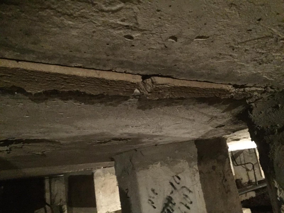 Иринка tweet media