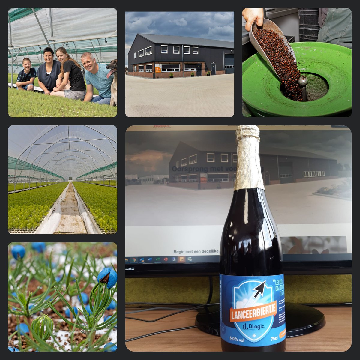 Vandaag is onze vernieuwde website gelanceerd! Met dank aan <a href="/dlogicnl/">Dlogic.nl</a> , nieuwe foto's van Judith van Aert en vertalingen van <a href="/Jagenta_BV/">Jagenta BV </a> , Jan Vermeeren. Veel Kijkplezier. tenax-plugs-seeds.nl