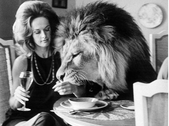 Happy birthday Tippi Hedren 