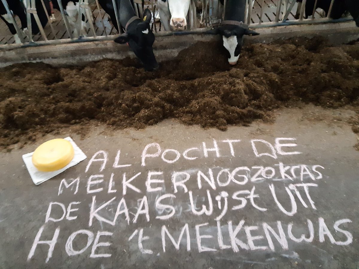 Dochter moest voor school gezegde / spreuk opschrijven en uitbeelden, komt ze hier mee...
