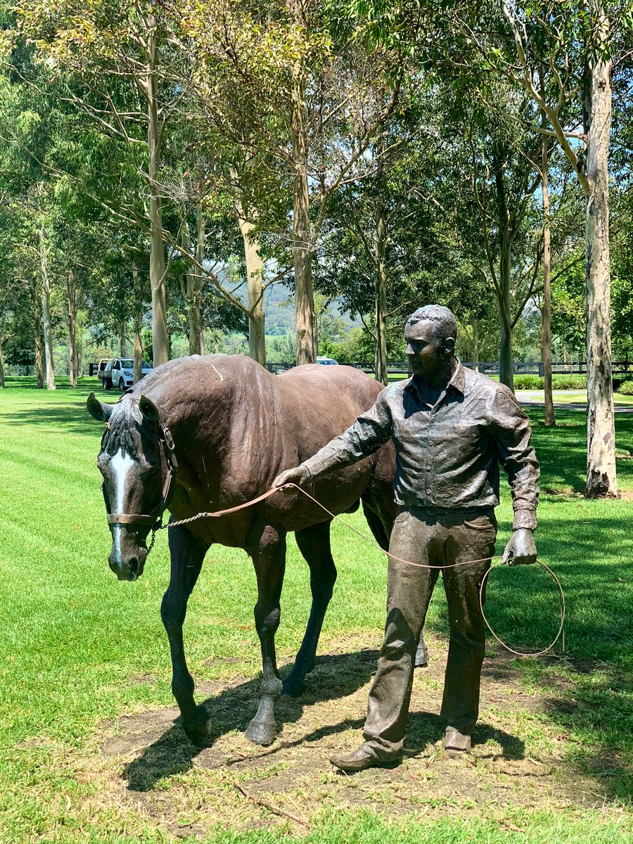 Jo McKinnon tweet media