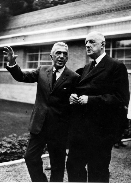 سام گیوراد tweet media