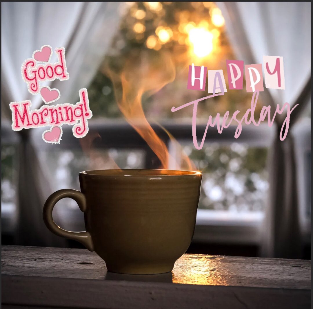 RachaAbdElElah's tweet photo. “Our greatest glory is not in never falling, but in rising every time we fall.”                                            
 #Confucius 
#goodmorning #morning #morningtuesday #tuesdayvibe #tuesdaymotivations #TuesdayFeeling #MotivationalQuotes #Motivation #vibes #quoteablequote https://t.co/0sIiMF2PFP