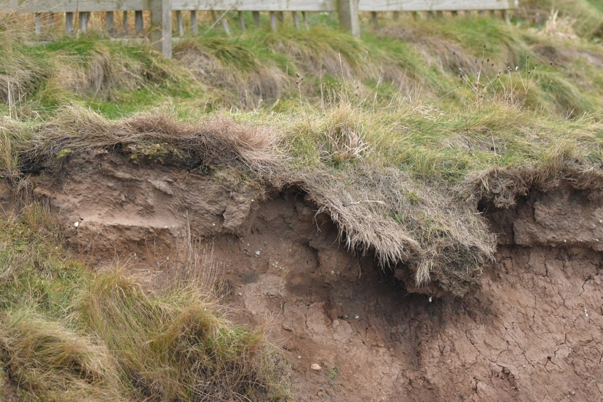 Safety reminder issued to walkers as Arbroath cliff path popularity booms dlvr.it/RqsnHd
