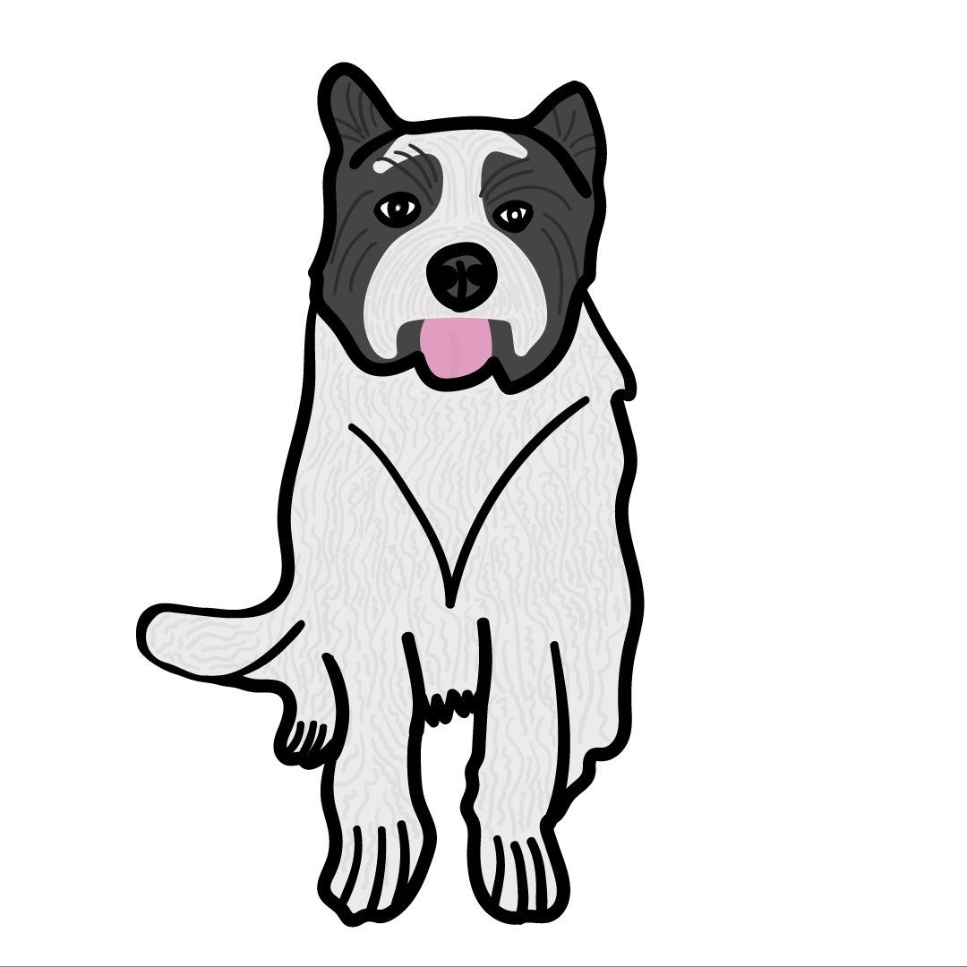 Lauren Murphy (dm dog pics pls) tweet media