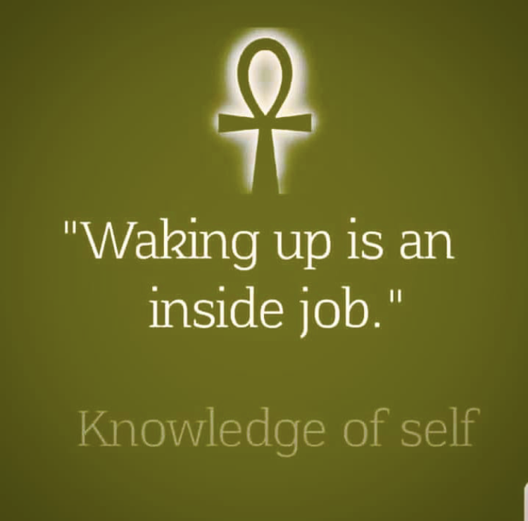 IndigiBookz's tweet photo. Grand Rising ✨✨✨

Are YOU Awake Yet??

Please drop some advice in the comments for those on their journey of Spirit Awakening ⬇️⬇️⬇️

https://t.co/93PIyzcS2G https://t.co/WboJAROt1L